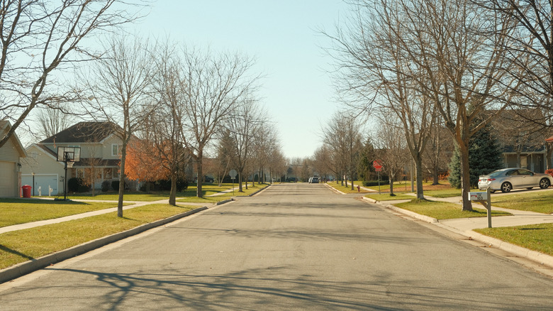 A wide, quiet residential street during the winter, with houses, cars, and driveways on both sides