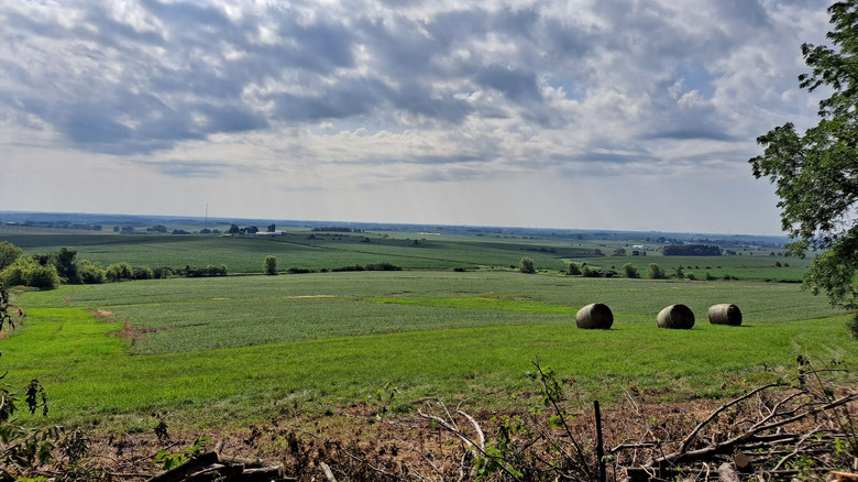 Looking out on rolling grass plains under vast blues skies from Belmont Mount State Park, WI.