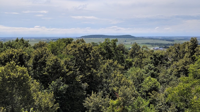 An overlook of the woods and distant plains beneath blue skies and some hills in the far background.