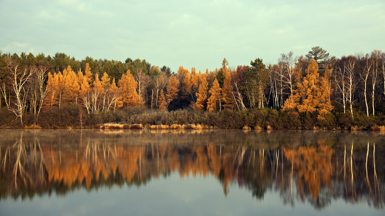 Colorful trees reflected in the lake during fall in Tomahawk, Wisconsin