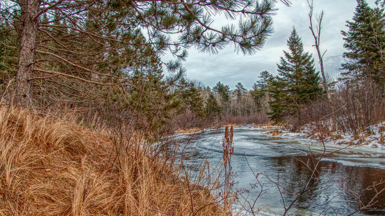 A chilly lakeside view in Chequamegon-Nicolet National Forest