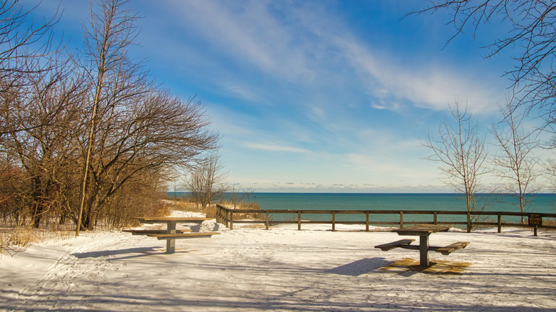 A picnic area on the bluffs at Lion's Den Gorge overlooking Lake Michigan
