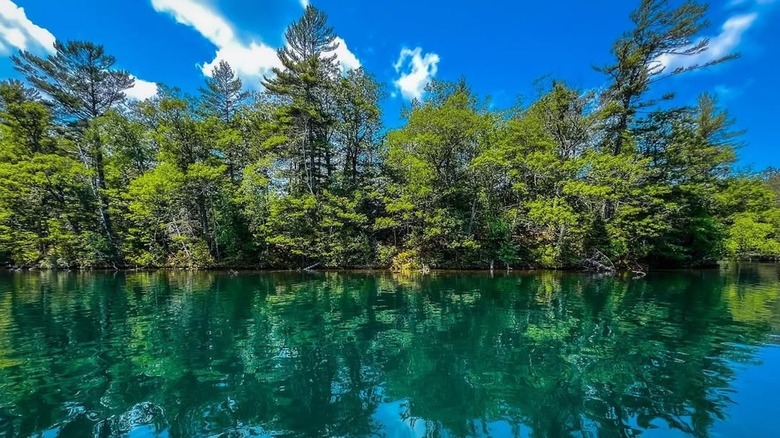 Trees reflected in clear blue water at Lake Owen, Wisconsin