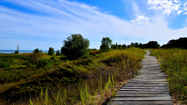 Boardwalk at Kohler-Andrae State Park, Wisconsin