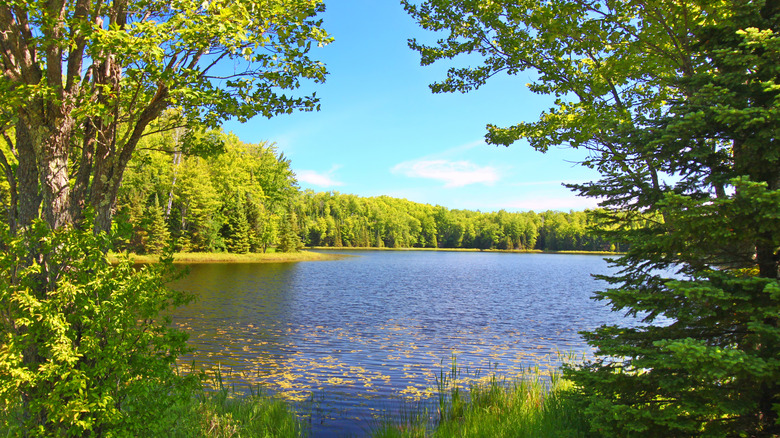 Trees frame a beautiful lake in the Northern Highland-American Legion State Forest on a sunny day