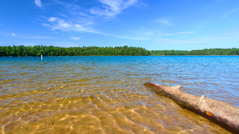 One of many stunning swim beaches in the Northern Highland-American Legion State Forest