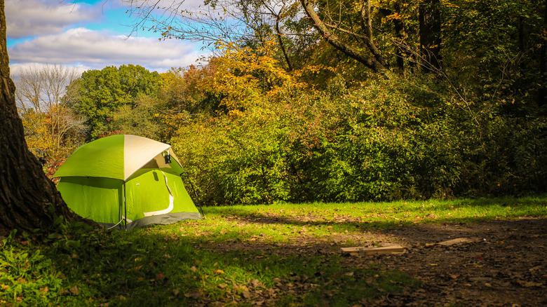 A green tent sits in the sunlight on a chilly morning at Devil's Lake State Park in Wisconsin.