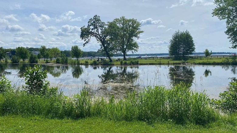 A view of Geneva Lake and Ceylon Lagoon in Big Foot Beach State Park on a bright sunny day