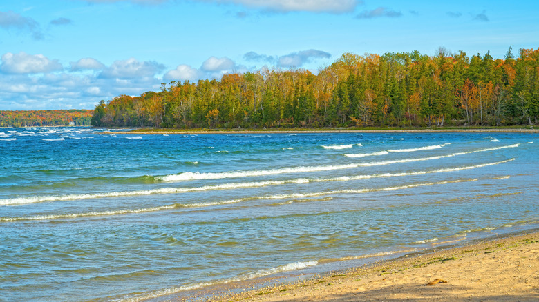 Trees lining the shoreline at a beach in Peninsula State Park