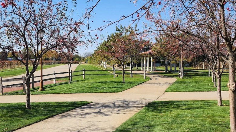 Sidewalks, trees, and vines of Villa Bellezza Winery in Pepin, Wisconsin