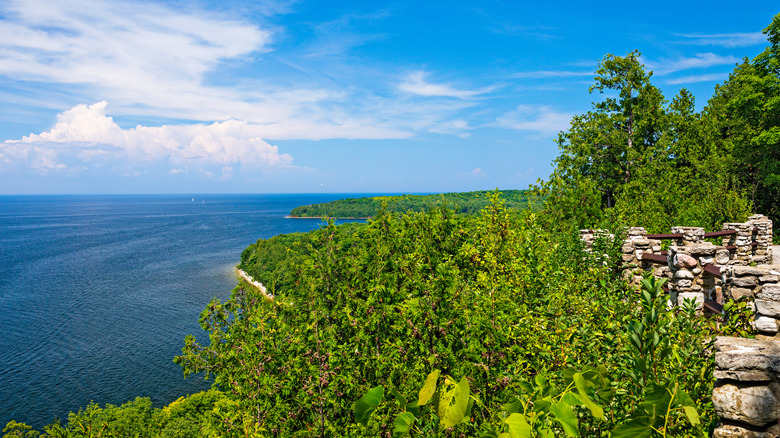 Tree leaves and lake views at a scenic overlook