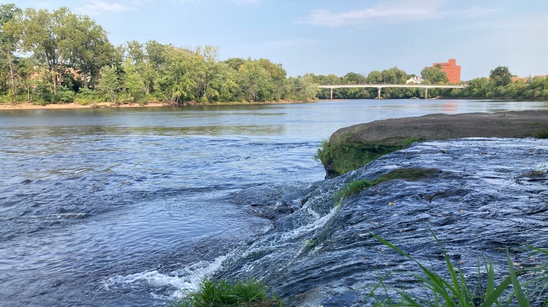 Chippewa River in the summer