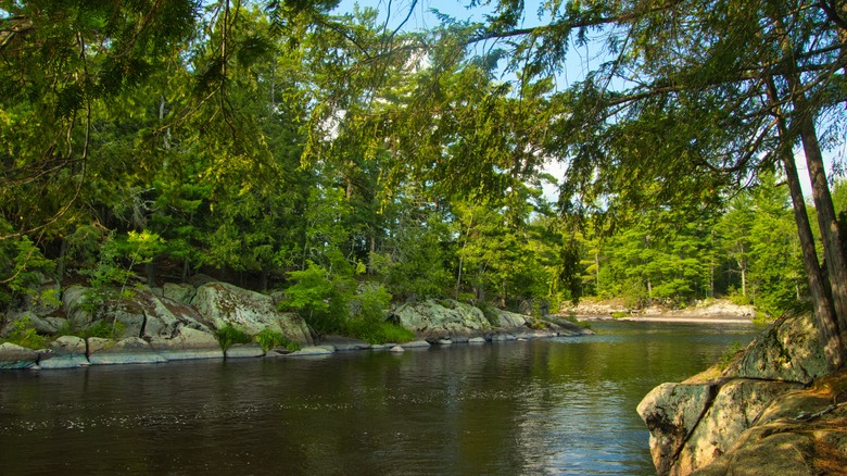 Views of the Flambeau River
