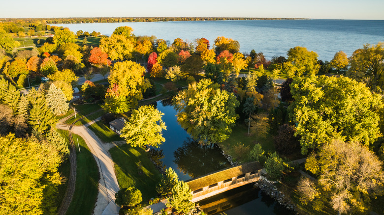 Greenery near Lake Winnebago