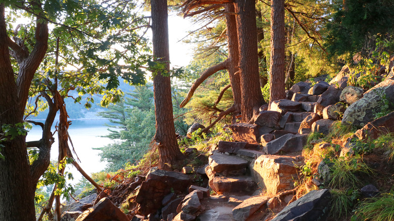 Rocky path in woods near lake