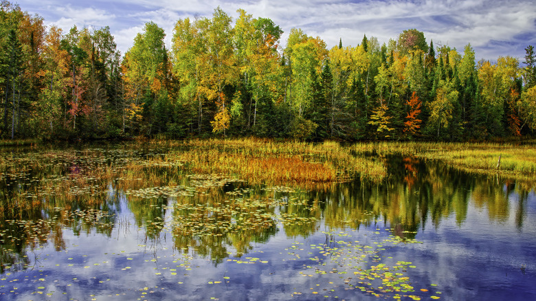 Fall colors at a lake in central Wisconsin