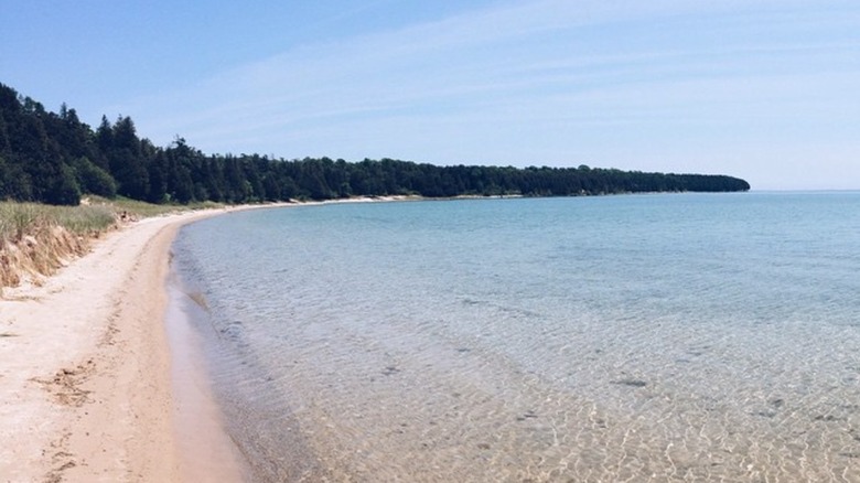 Rock Island white sand beach, clear water, forest, and blue sky.
