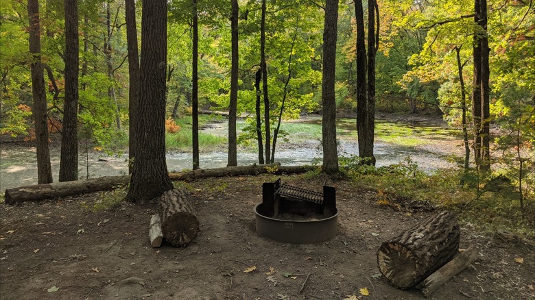 Wooded primitive campsite at Straight Lake State Park, Wisconsin, with a metal fire ring, cooking grate, and logs for seats
