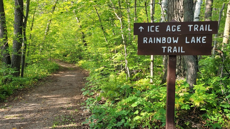 Dirt path through the forest with a sign guiding visitors to the Ice Age Trail and Rainbow Lake Trail at Straight Lake State Park, Wisconsin