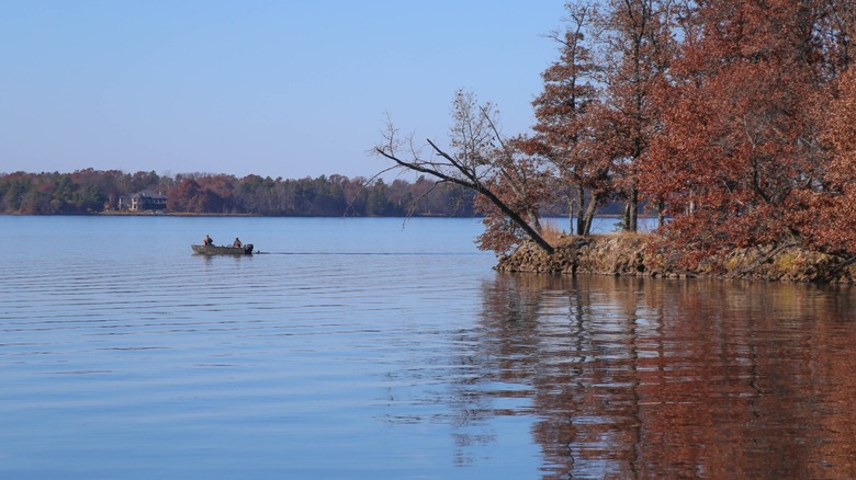 Two people fishing in a boat near the shoreline of Castle Rock Lake