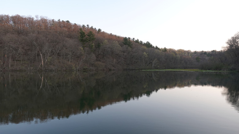 Still, peaceful reflections of trees on the lake at Governor Dodge State Park, WI