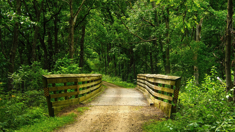 A gravel trail over a wooden bridge in the woods on the Military Ridge State Trail, Wisconsin