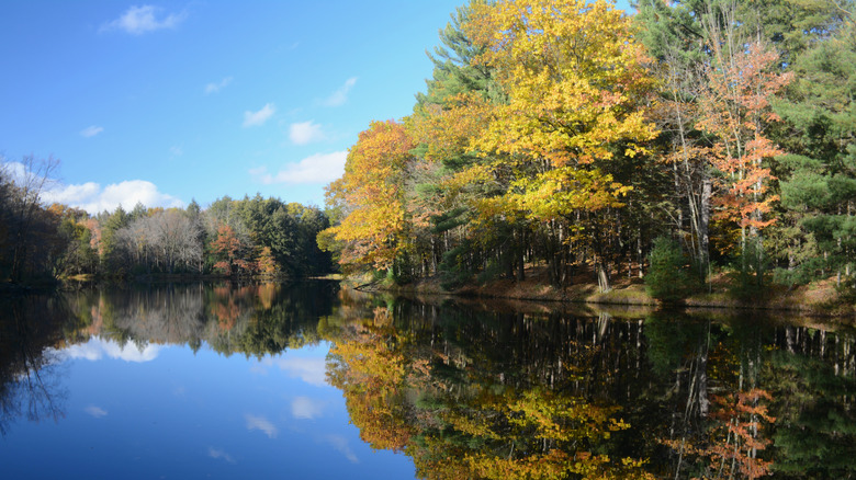 Autumn foliage at Brunet Island State Park in Wisconsin