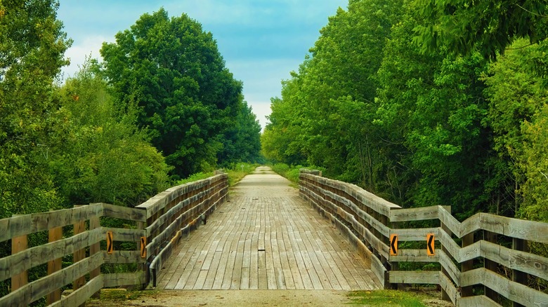 Bridge on the Devil River State Trail, surrounded by trees