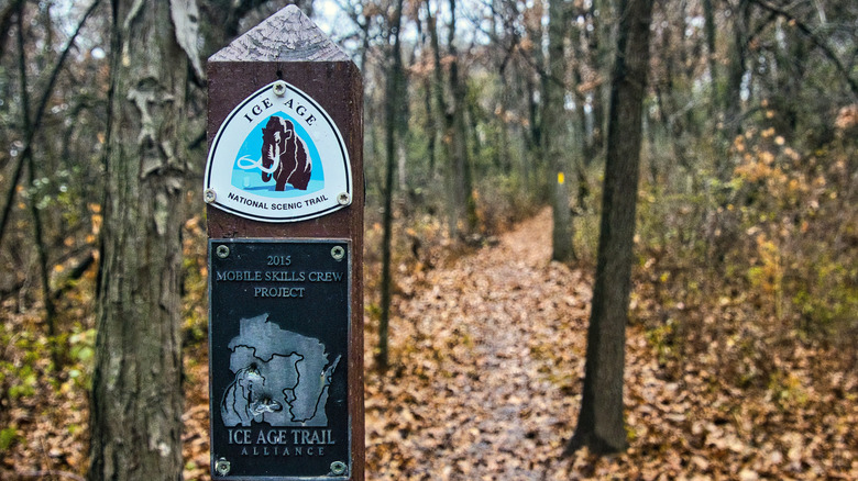 Closeup of a trail marker with logos for the Ice Age Trail
