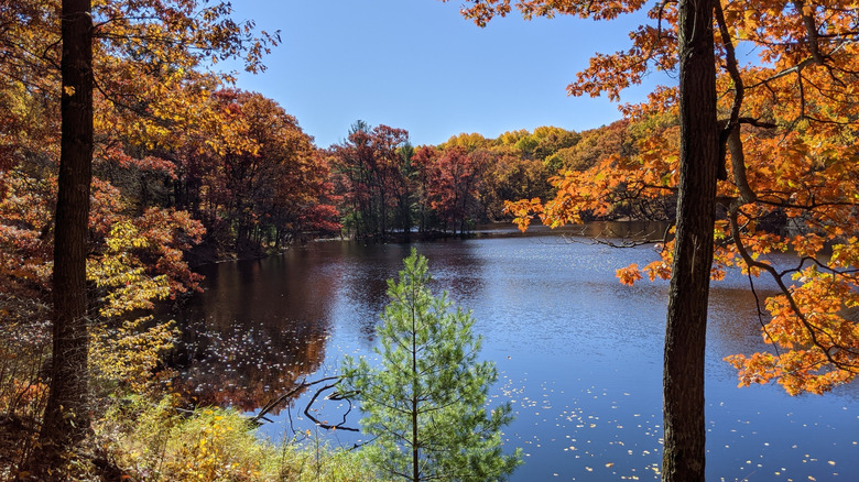 A glacial lake near New Auburn, WI