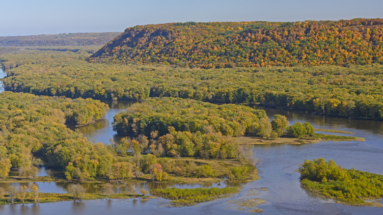 fall foliage in the forest along the mississippi river and the wisconsin river