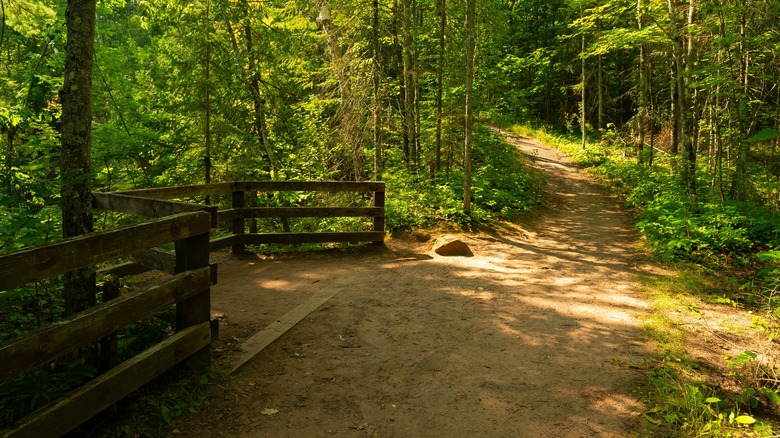 Hiking trail with scenic overlook