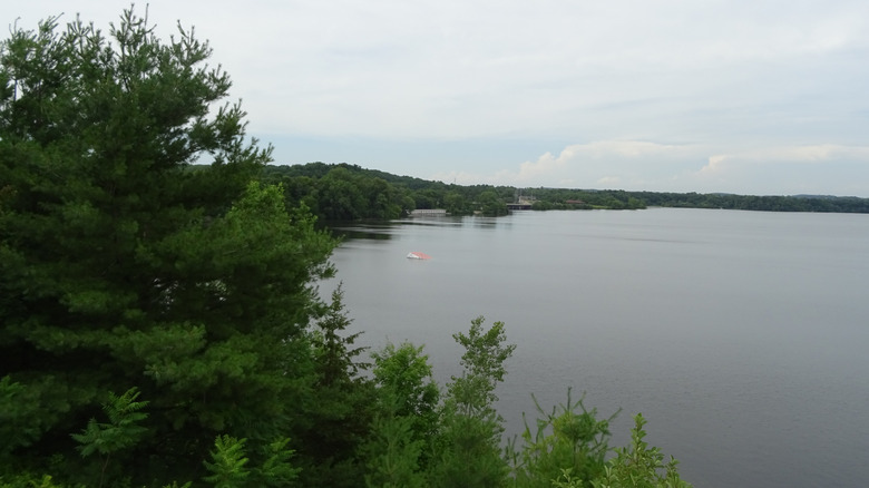 Lake Menomin in Menomonie, Wisconsin, with a tree in the foreground