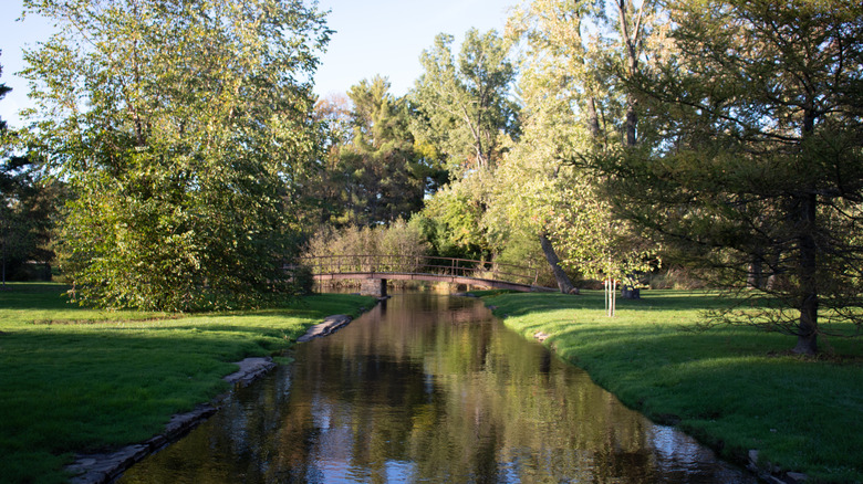 A tree-lined creek runs under a walk bridge in Iverson Park, Stevens Point, WI