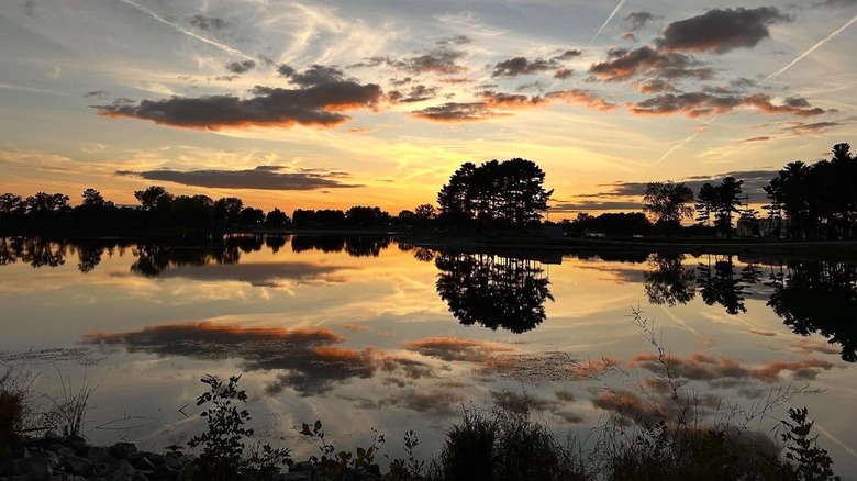 Sunset clouds and contrails reflected off a lake bordered by the silhouette of trees