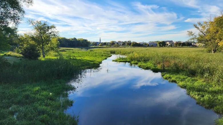 A lake in Whitewater, Wisconsin