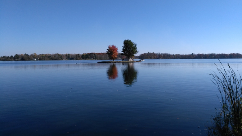 One of two small islands on Rice Lake in Wisconsin