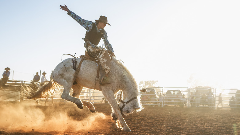 A cowboy riding a bronco in the afternoon dust at a rodeo