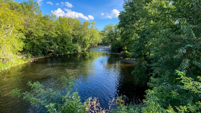 Little Wolf River in Wisconsin on a sunny day