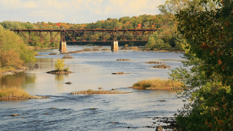 View of the Flambeau River in Ladysmith, WI