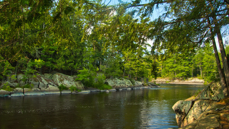 View of the tranquil Flambeau River near Ladysmith, WI
