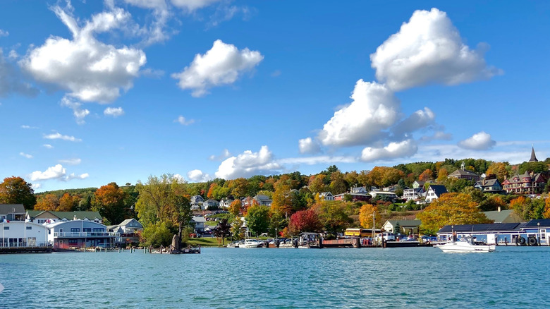 Boats in a harbor backed by tree-lined hills and houses
