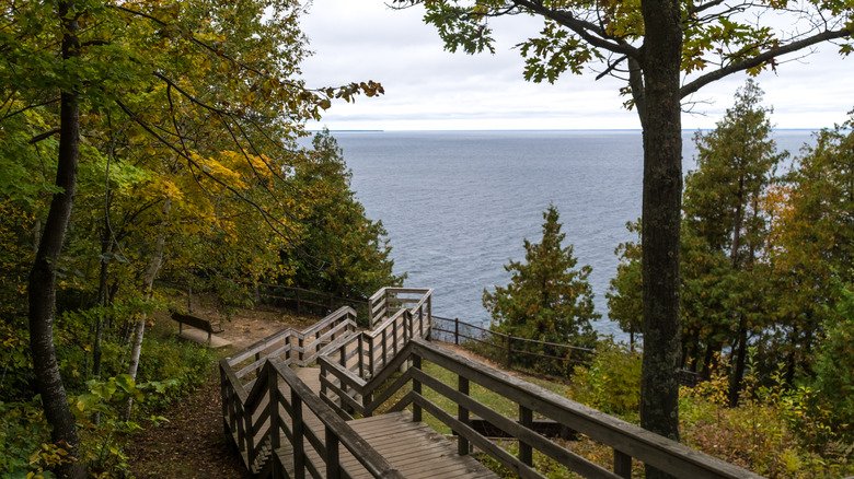 Boardwalk path descending into forests with sea view