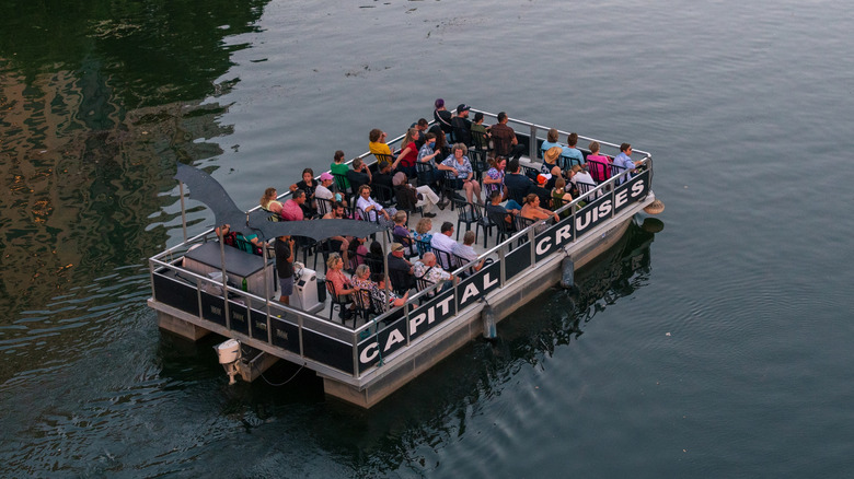 Bat boat watching tour along the Lady Bird Lake