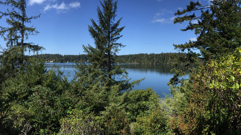 Woahink Lake in Florence, Oregon