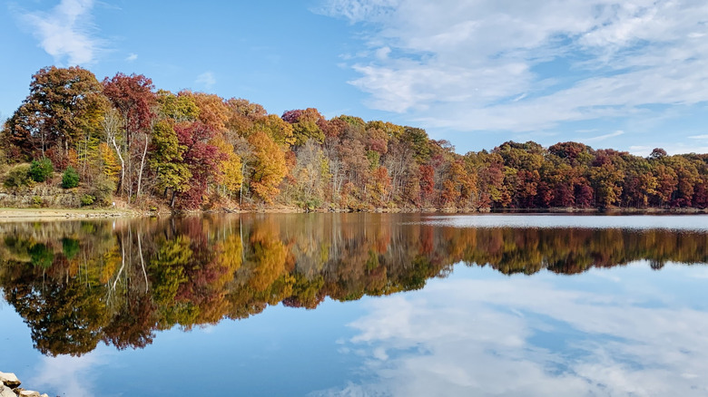 Fall foliage reflected in the lake in Wolf Run State Park in Caldwell, Ohio