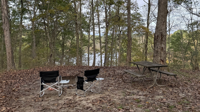 Wildflowers on the lake at Wolf Run State Park in Caldwell, Ohio