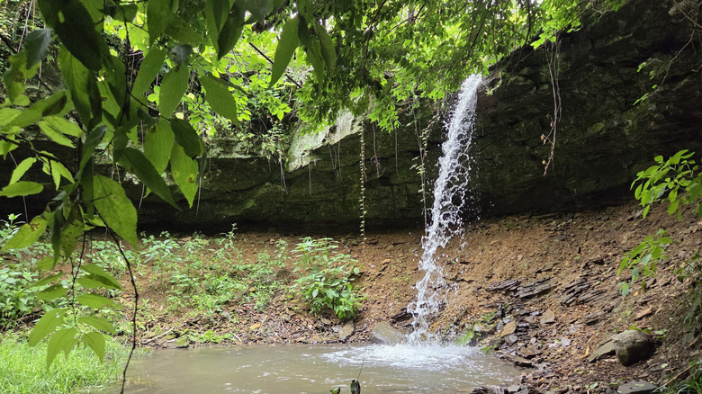 A waterfall at Woodman Hollow State Preserve, Iowa