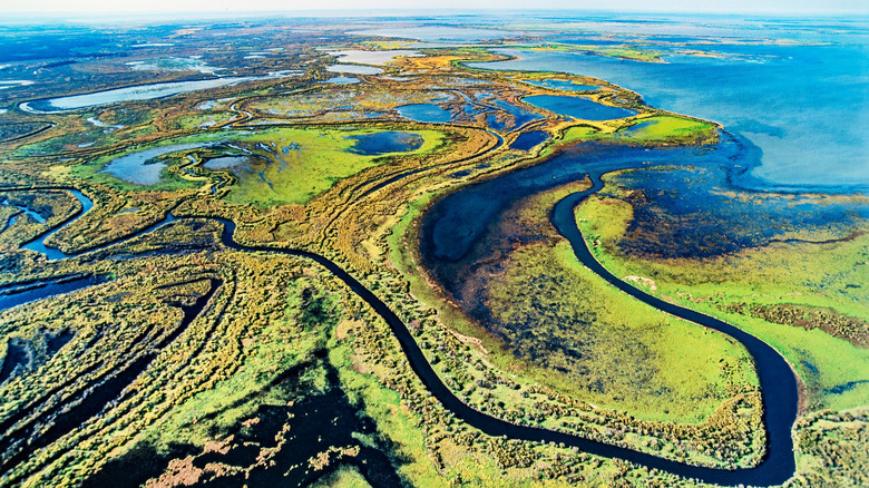 Ariel view of Wood Buffalo National Park