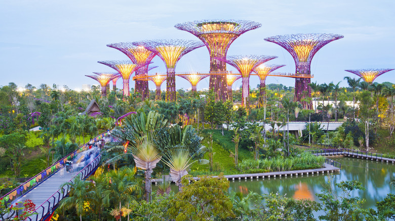 Singapore's Gardens By The Bay
